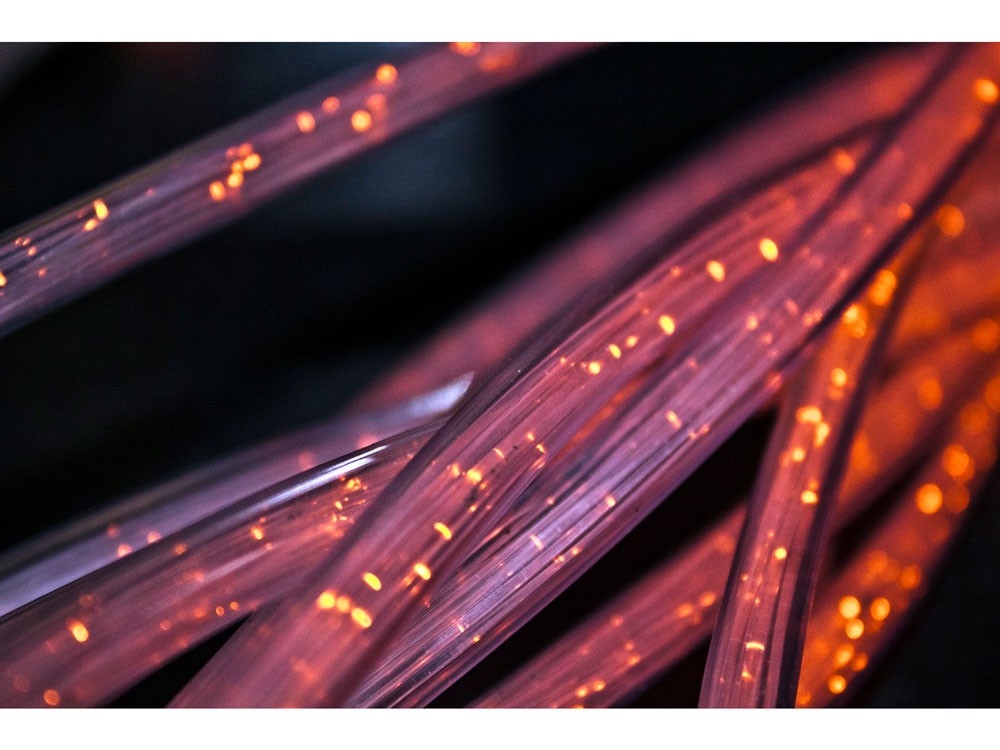 Fiber