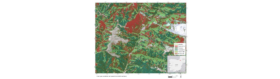 Servicios geoespaciales 3