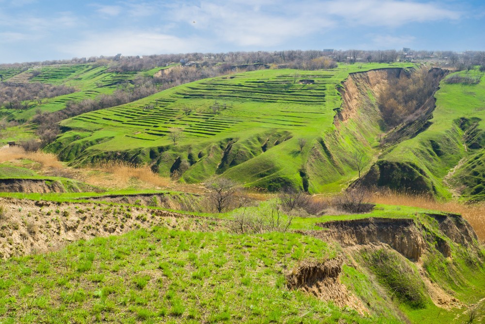 climate resilience