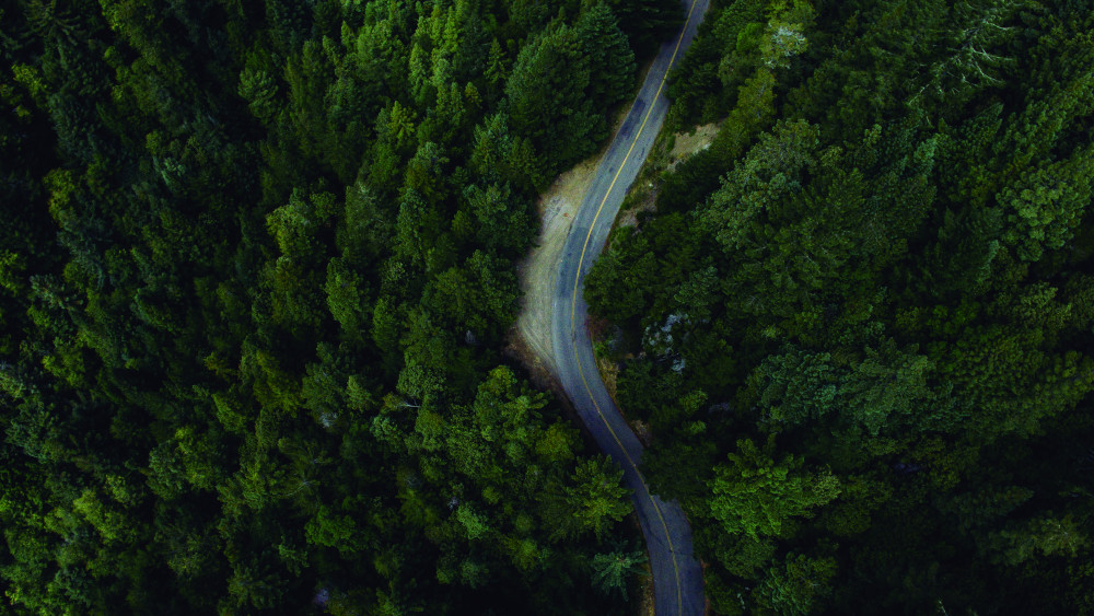 forestry