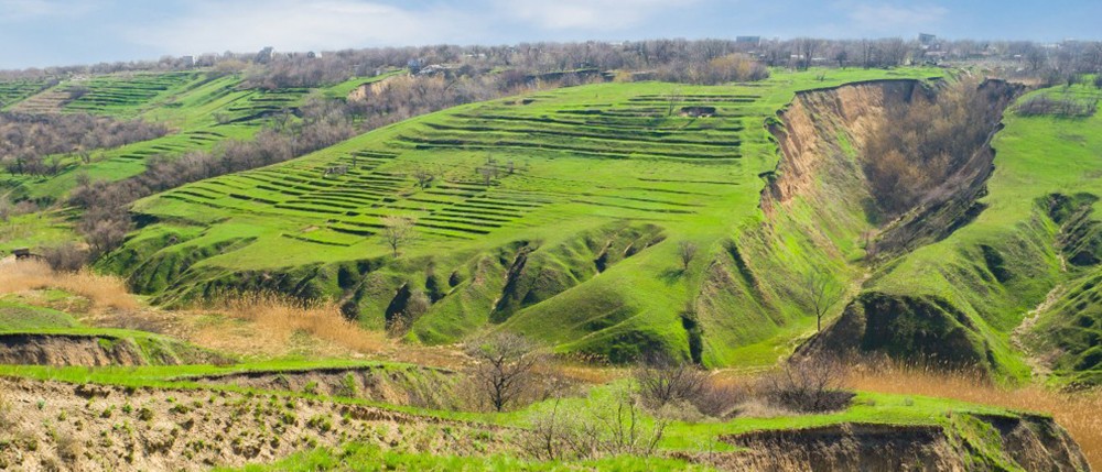 climate resilience