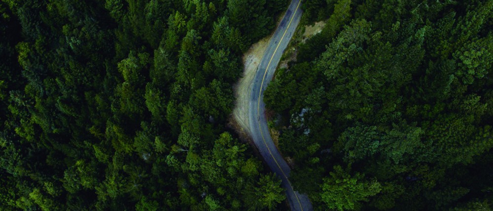 forestry