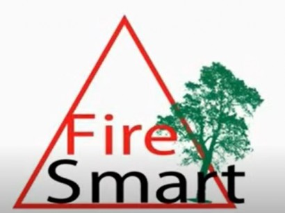 Fire Smart