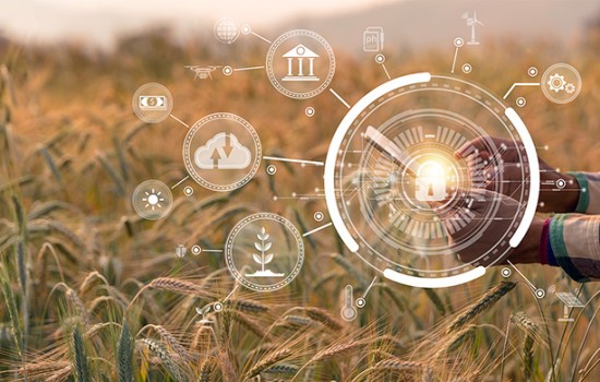 AgraIA confía en los servicios de AWS para acelerar la transformación digital del sector agroalimentario