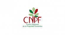 logo_cnpf