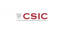 Spanish National Research Council (CSIC)